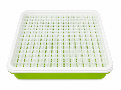 DIY Microgroenten Starter Kit